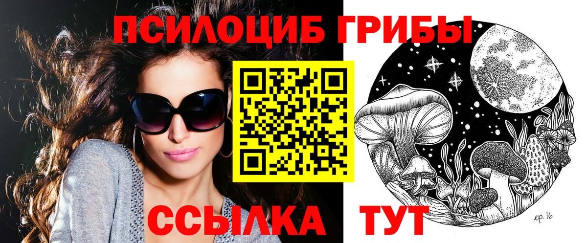 Псилоцибиновые грибы прущие грибы Коряжма