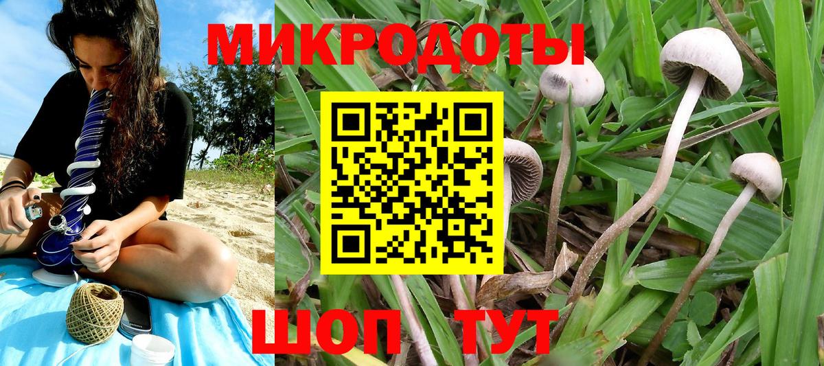 Коряжма  Галлюциногенные грибы мухоморы  Вход с VPN 